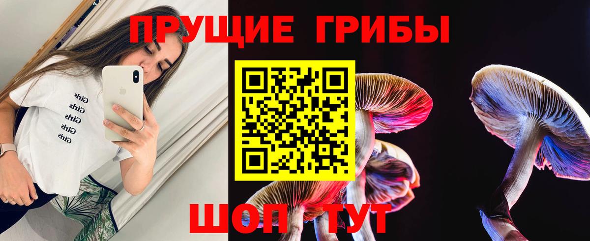Псилоцибиновые грибы ЛСД  Вход с VPN  Галлюциногенные грибы мицелий  цены наркотик  Кызыл 